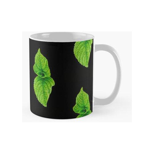 Taza Hoja De Menta Fresca Reslitic Con Fondos Negros Calidad