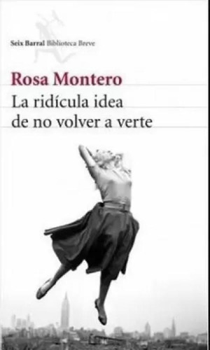 Libro La Ridícula Idea De No Volver A Verte