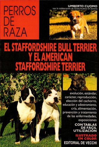 El Staffordshire Bull Terrier Y El American Staffordshire Te