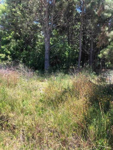 Terreno En Barra Del Chuy