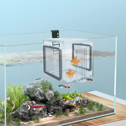 Caja De Cría Para Acuario Caja Aislante Acrílica Para Acuari