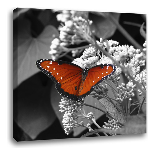 Cuadro Decorativo Canvas Geometría Surreal 80x80 Cm