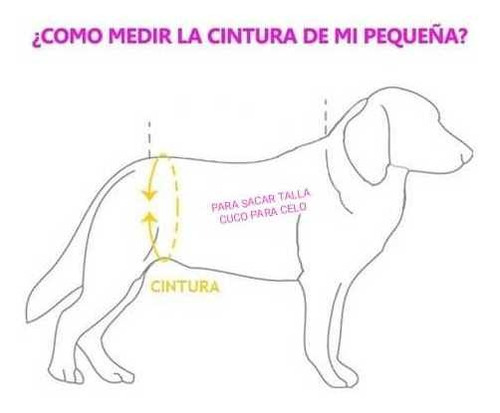 Cucos Para Perrita En Celo - kg a $21000