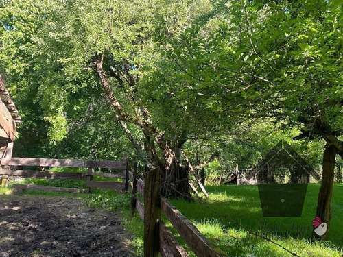Parcela Con Casa E Instalaciones, 1 Hectarea