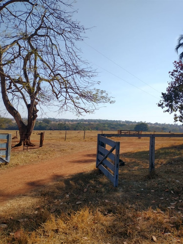 Imagem 9 de 13 de Fazenda Para Pecuária A Venda Na Região De Itapagipe / Campina Verde-mg, Com 57,5 Alqueirao, Benfeitorias Completas, Rio E Represa - Fa00395 - 70075361
