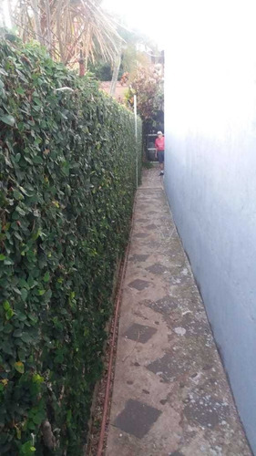 Propiedad, Casa, Duplex Y 4 Monoamb., 5 Cdras Centro Posadas