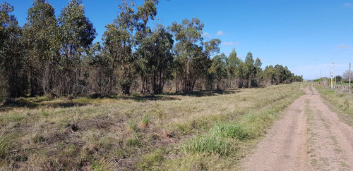 Chacra 3 Has En Venta En Ruta 6 Km 43.600 Paraje Matasiete