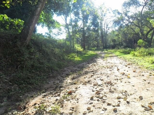 Imagem 7 de 13 de Sítio Em Cocuera - Mogi Das Cruzes - 2698