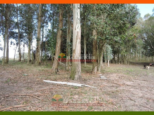 Imagen 20 de 22 de Chacra En Venta 3 Has Con Casa En El Colorado