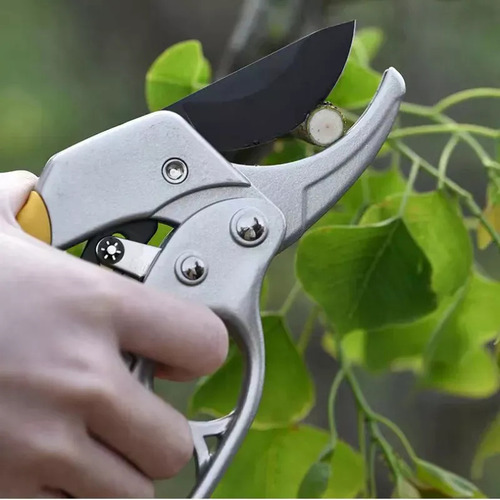 Tijeras Profesionales Para Podar Ramas De Árboles