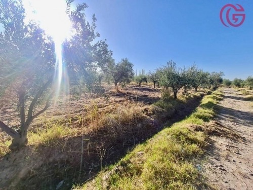 Imagen 11 de 16 de Greenwood Vende Finca Con Potencial