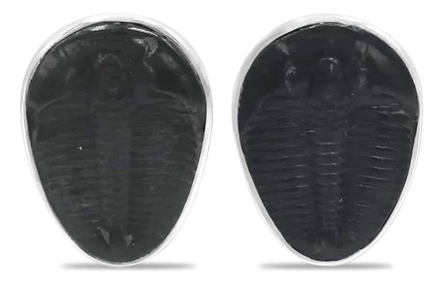 Aretes De Trilobites Fósiles En Plata De Ley
