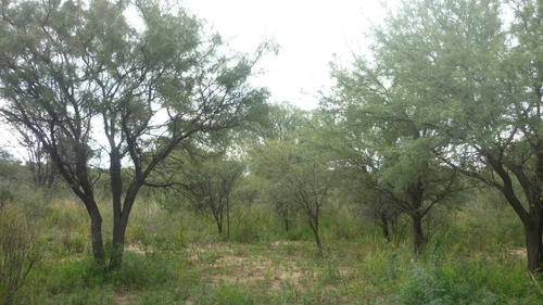 Imagen 6 de 10 de Vendo Lote De 1 Ha En Bº El Rincón, San Marcos Sierras Rebajado A U$s 23.000 Oferta De Oportunidad!