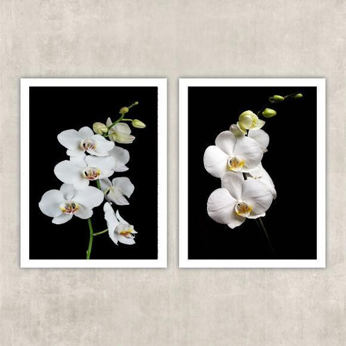 Kit 2 Quadros Fotografia Orquídeas Brancas 45x34cm - Vidro