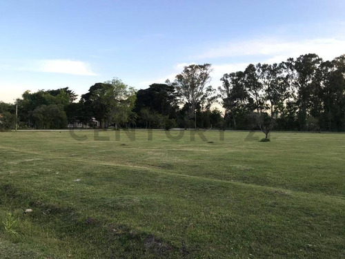 Lote En Venta