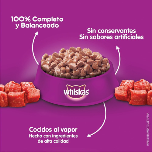 Whiskas Alimento Húmedo Gatitos Carne Salsa Sobre 12un