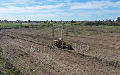 Imagen 2 de 4 de Terreno - Los Hornos