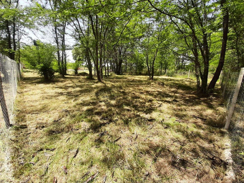 Imagen 4 de 27 de Venta - Lote Con Mejoras - Molino Blanco - Exaltación De La Cruz