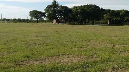 Imagen 11 de 14 de El Loteo Más Elegido De Esquina - Corrientes!