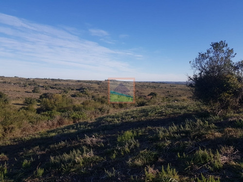 Imagen 4 de 14 de Chacra 10 Hás En Garzón