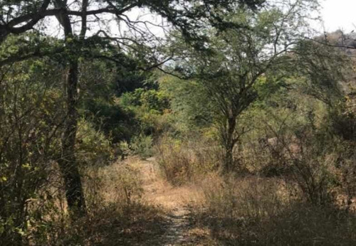 Imagen 8 de 14 de Rancho En Amacuzac, Huantitlan, Morelos.
