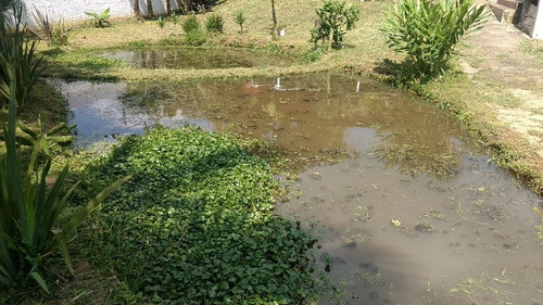 Chacara Com Escritura Vendo Troco Itapecerica Da Serra 4187