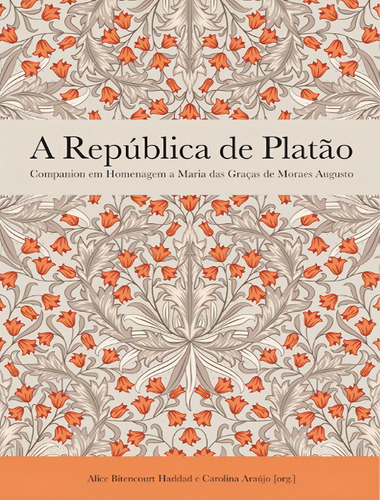 A República De Platão: A Republica De Platao, De Haddad, Alice Bitencourt. Editora Nau Editora, Capa Mole, Edição 1 Em Português, 2022