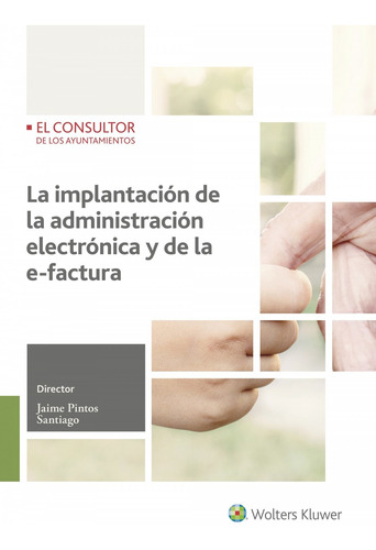 Implantación Administraciones Electrónica Y E-factura