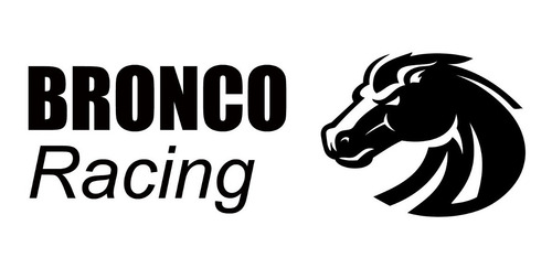 Cubierta Neumatico Moto 110/80-17 Bronco Br 430 Lisa
