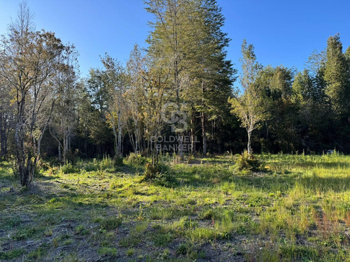 Refugio Rústico: Naturaleza Y Paz En El Zorro