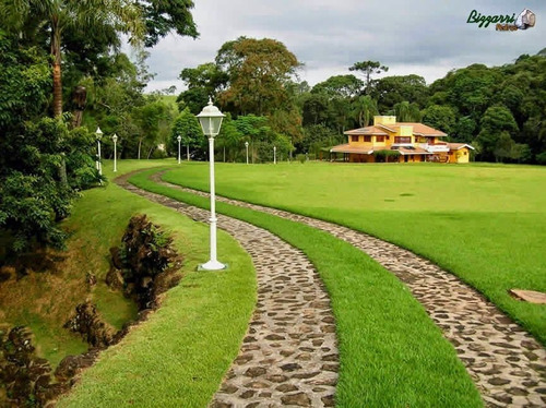 T11- Lotes Com Melhor Preço Do Mercado