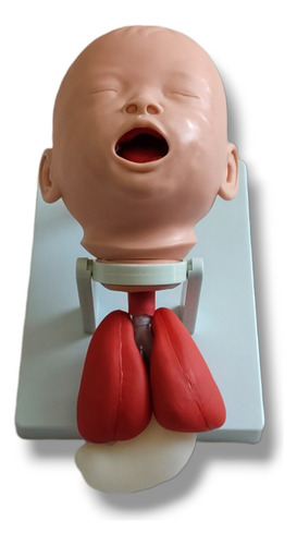 Cabeza De Intubacion Bebe Lactante Con Base