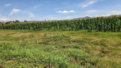 Terreno en venta