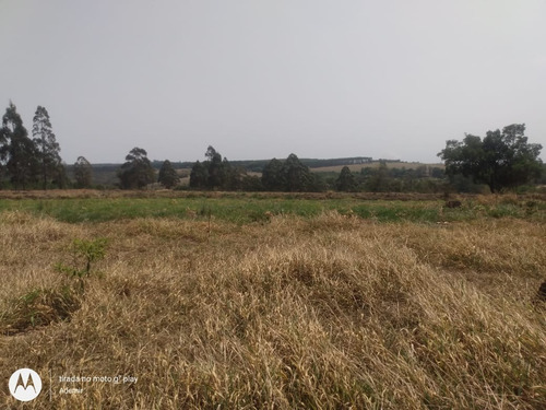 Imagem 12 de 16 de Chácara 53000m2, Lago E Poço Caipira, Sem Benfeitorias, Energia Eletrica, Apenas 2km Da Rodovia Marechal Rondon, Ótima Localização - Ch00160 - 70138661