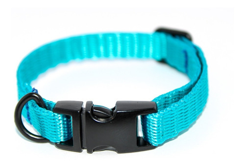 Pack 3 | Collar Para Perro Con Herraje Metálico | Chico