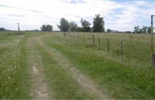 Imagen 9 de 10 de Venta - Campo En Plomer Pdo. General La Heras - Bayugar Negocios Inmobiliarios