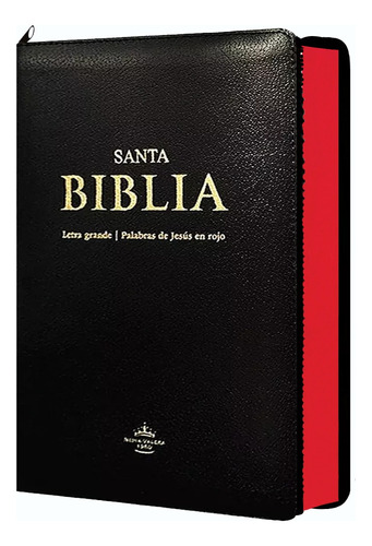Biblia Reina Valera 1960 Letra Grande Pjr Concordancia Negro