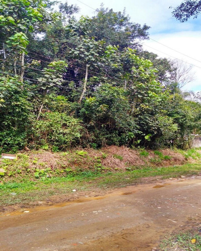 Imagem 2 de 11 de Chácara Vende-se - Ch00006 - 4510570