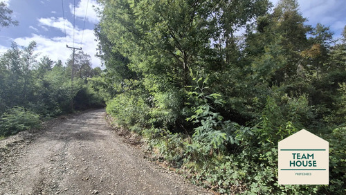 Camino Antilhue - Arique / Chincuin / Don Vicente