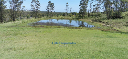 Imagen 17 de 26 de Piriapolis Venta De Muy Buen Chacra 5 Has Cw148170