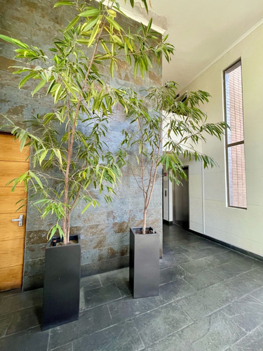 Departamento,4 Dormitorios, 3 Baños, Andalue