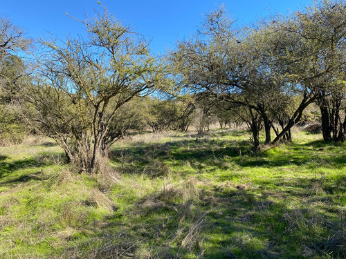 Parcela Rural 3,8 Hectáreas En Reserva Ecológica En Limache