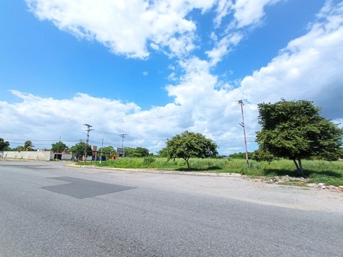Imagen 4 de 10 de Terreno Venta Res. Palo Negro Casas, Canchas