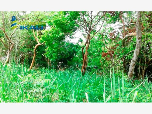 Imagen 3 de 8 de Terreno En Venta Juana Moza