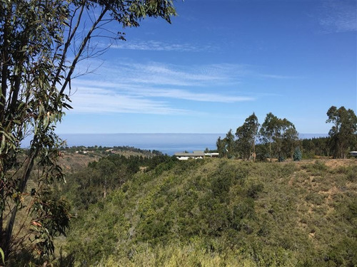 Imagen 6 de 24 de Agrícola En Venta En Algarrobo