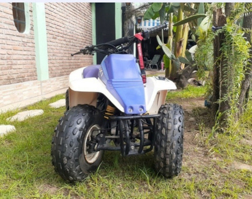Yamaha Raptor 90 Año 2012 Excelente Estado