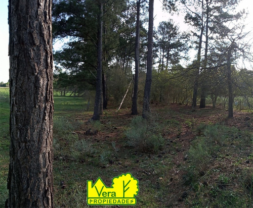 Imagen 10 de 10 de Campo De 35 Ha En Venta,la Mejor Zona De Manzanares, Pilar.