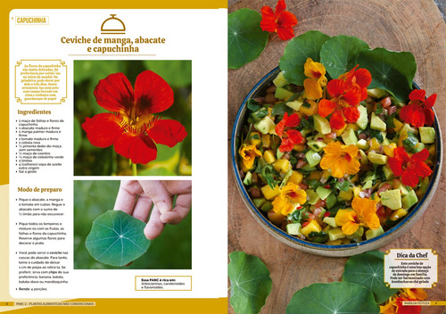 PANC 2 - Plantas Alimentícias Não Convencionais, de Feitoza, Marilua. Editorial Editora Europa, capa mole em português, 2022