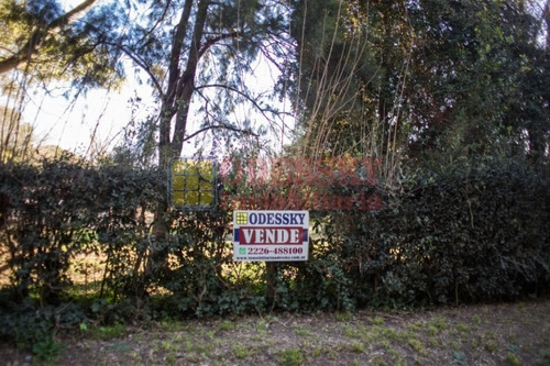 Imagen 4 de 6 de Santa Rosa , Cañuelas -lote Arbolado En Venta
