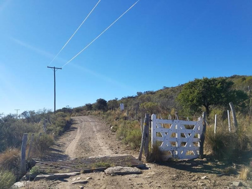 Imagen 9 de 22 de Traslasierra - Estancia Aguas Del Tala - Pueblo Ambul - Pampas Del Pocho - 383has Cercadas A La Venta En Una Zona De Crecimiento Constante - Mina Clavero - Cordoba